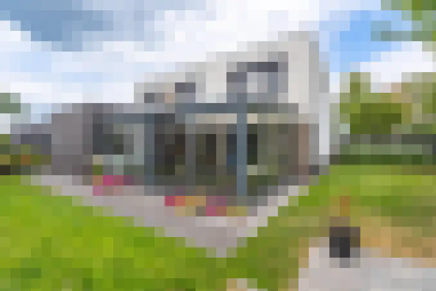 Watersnip 3 Venray thumbnail 59