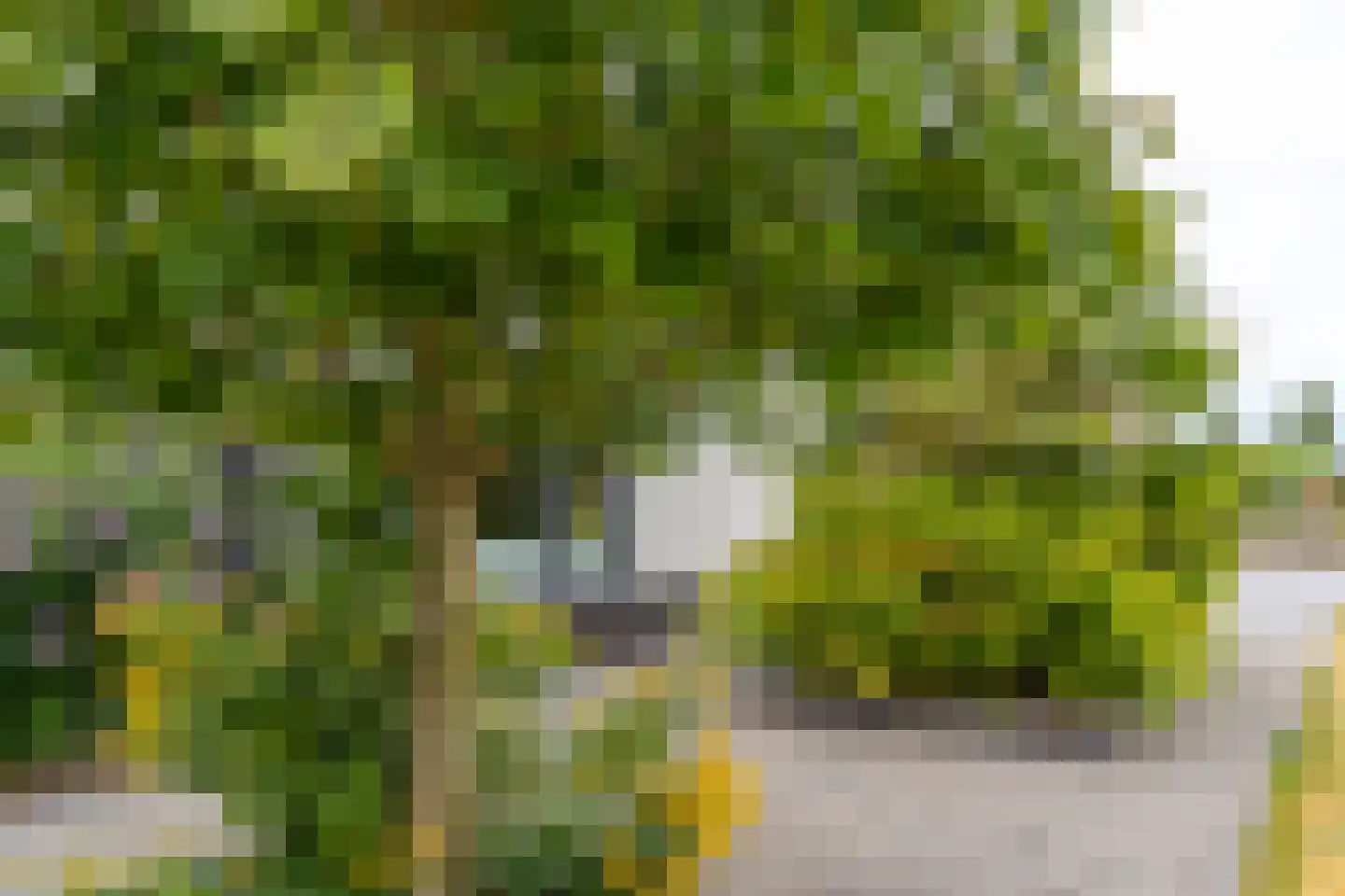 Watersnip 3 Venray thumbnail 9