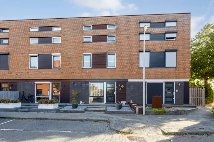 Watersnip 4 in Bergen op Zoom Foto