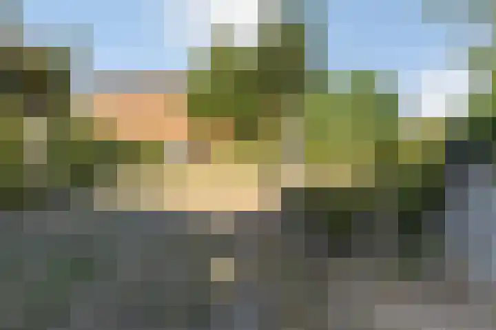 Watersnip 4 Bergen op Zoom thumbnail 32