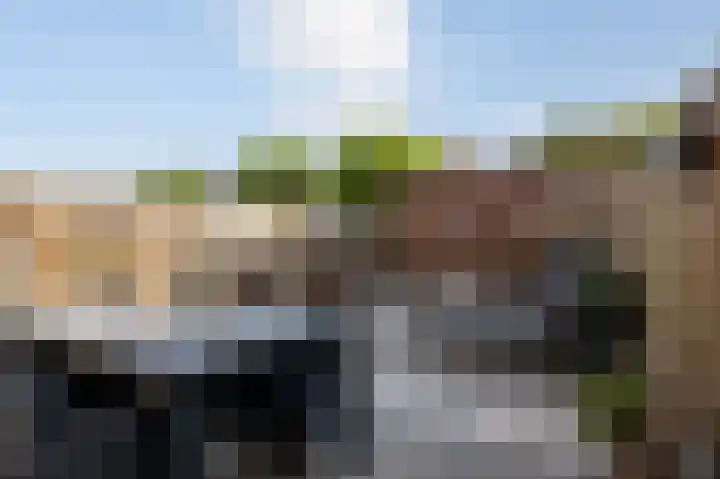 Watersnip 4 Bergen op Zoom thumbnail 35
