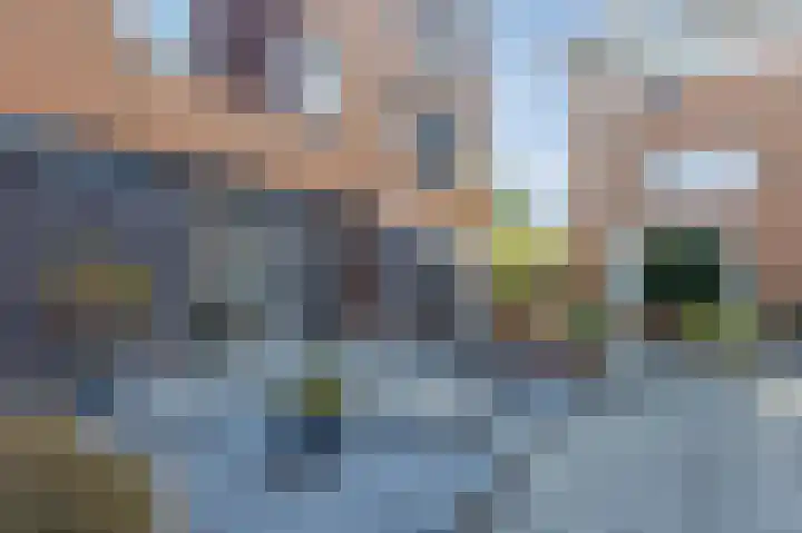 Watersnip 4 Bergen op Zoom thumbnail 4