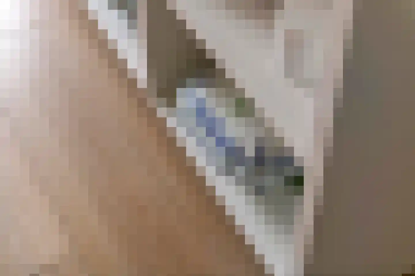 Watersnip 4 Maurik thumbnail 20