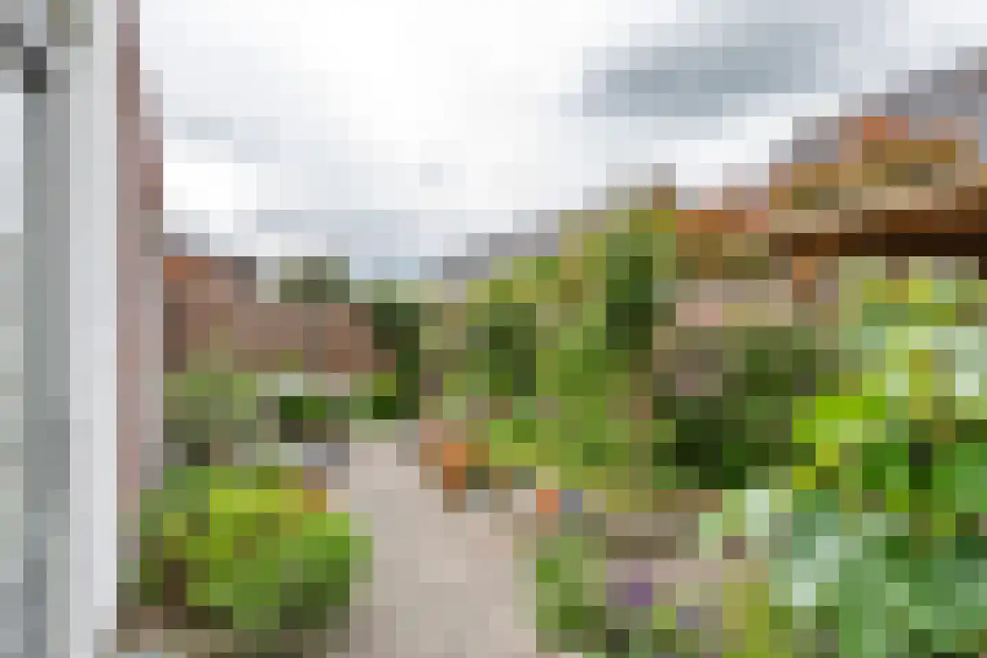 Watersnip 4 Maurik thumbnail 25