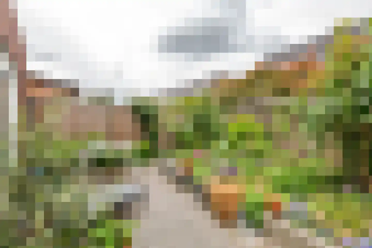 Watersnip 4 Maurik thumbnail 27