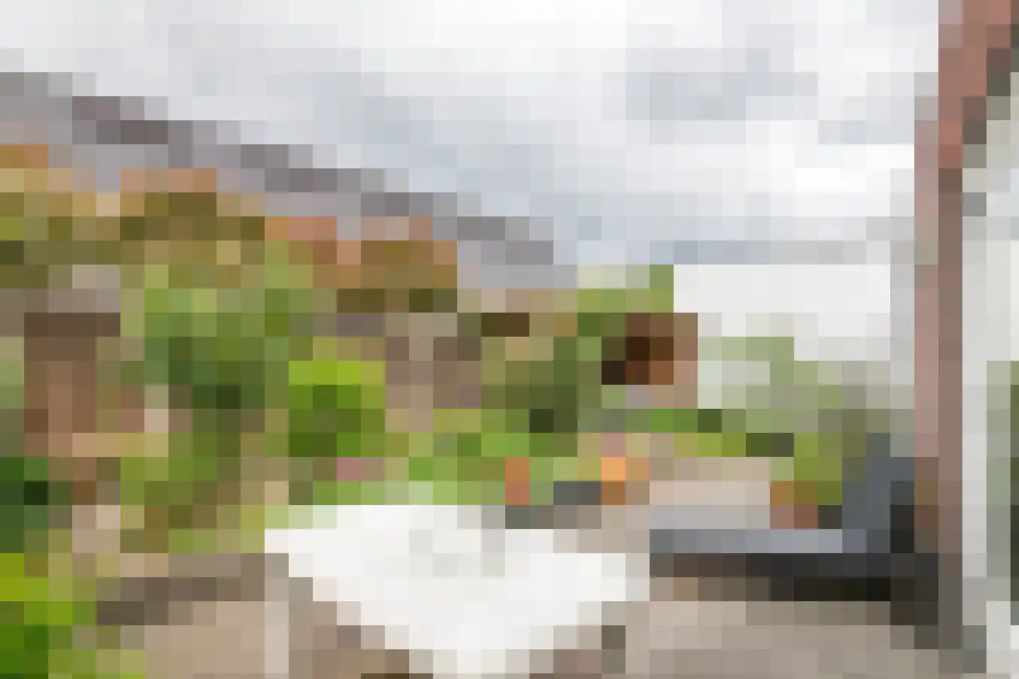 Watersnip 4 Maurik thumbnail 28