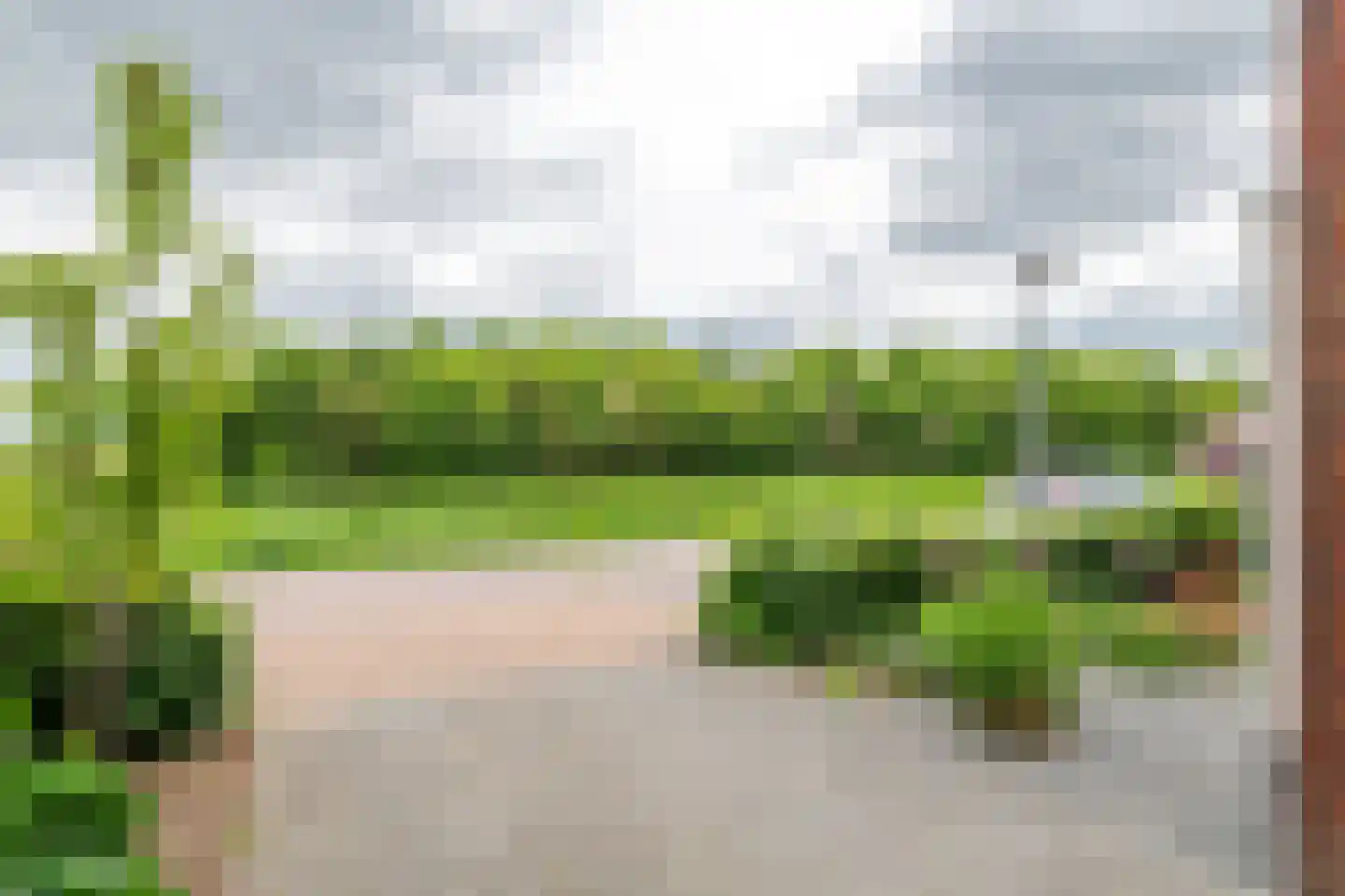 Watersnip 4 Maurik thumbnail 34