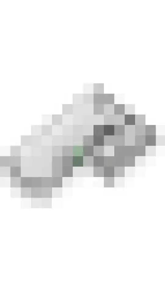 Watersnip 4 Maurik thumbnail 57