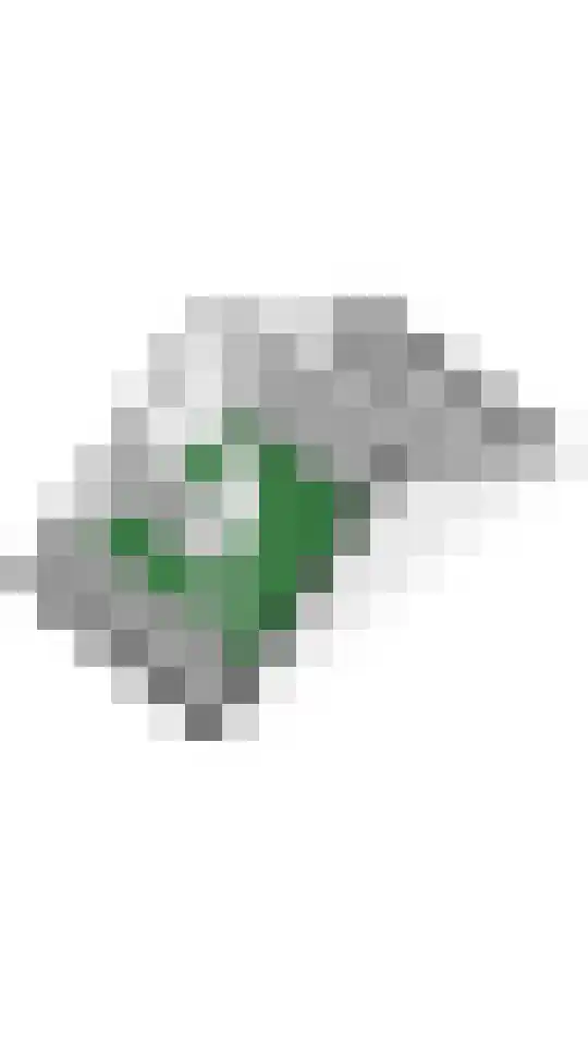 Watersnip 4 Maurik thumbnail 61