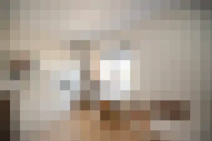 Watersnip 40 Bodegraven thumbnail 29