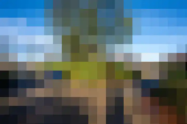 Watersnip 40 Bodegraven thumbnail 43