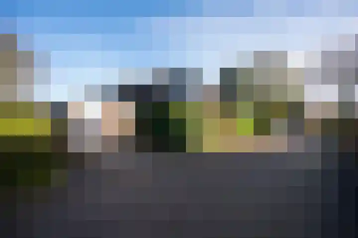 Watersnip 40 Bodegraven thumbnail 44
