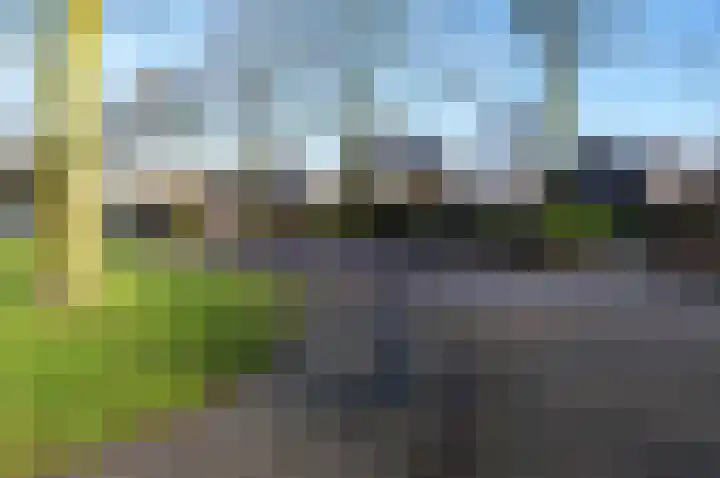 Watersnip 40 Bodegraven thumbnail 45