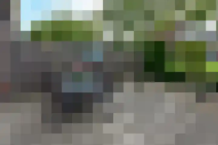 Watersnip 5 Kockengen thumbnail 27