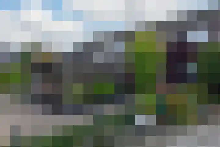 Watersnip 5 Kockengen thumbnail 7