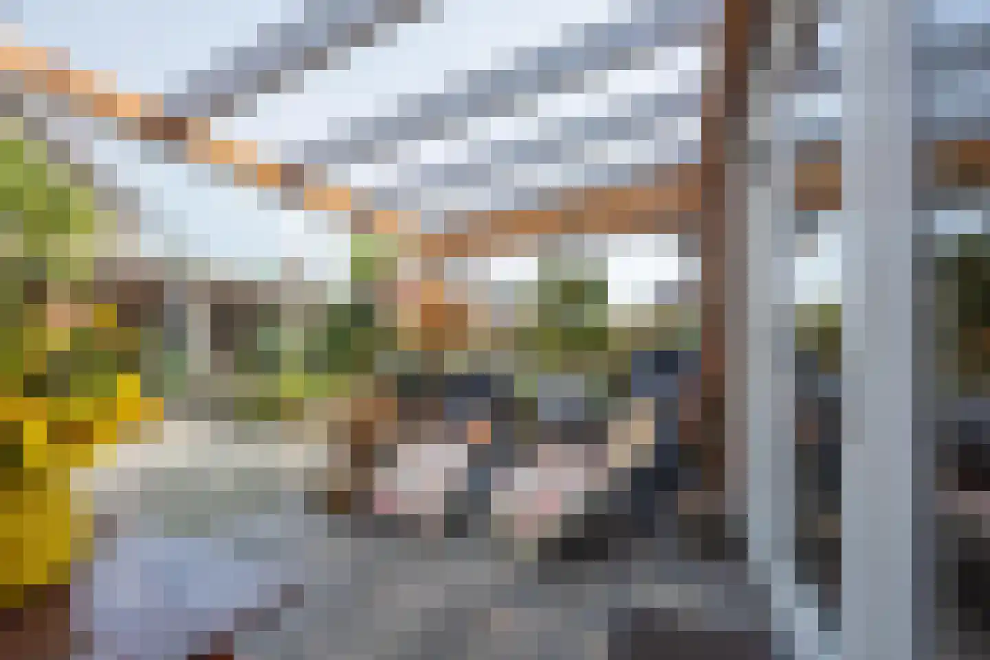Watersnip 54 Maurik thumbnail 37