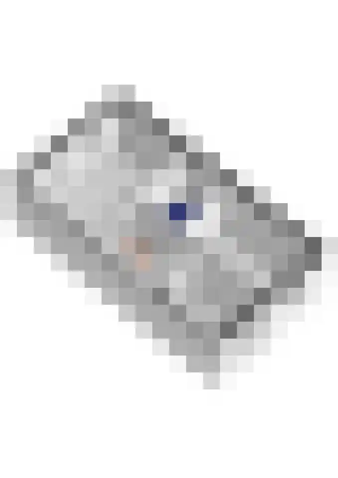 Watersnip 54 Maurik thumbnail 77