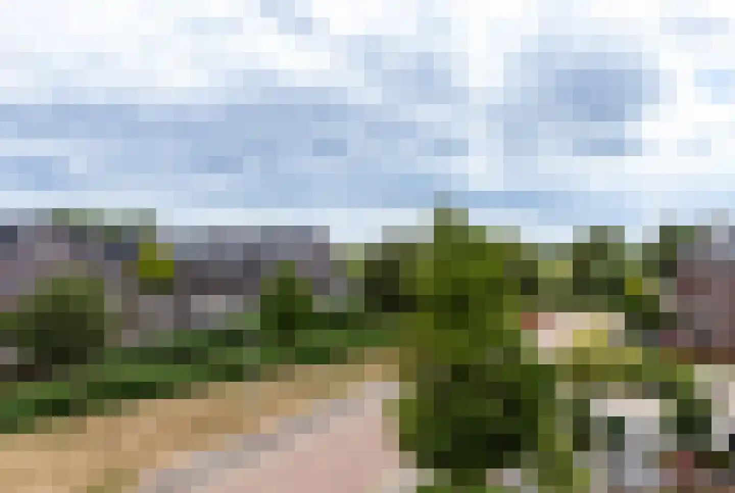 Watersnip 6 Leimuiden thumbnail 41