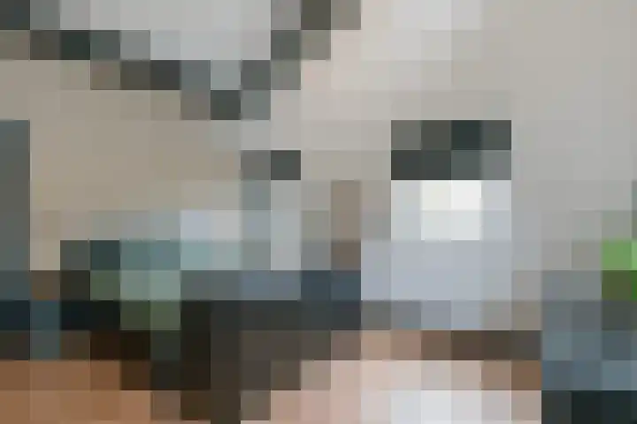 Watersnip 6 Papendrecht thumbnail 26