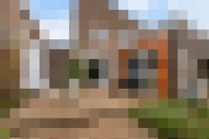 Watersnip 6 Papendrecht thumbnail 31