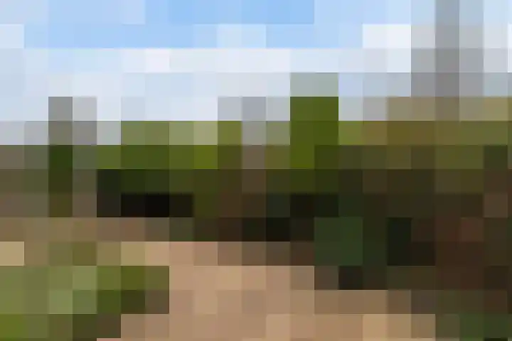 Watersnip 6 Papendrecht thumbnail 33