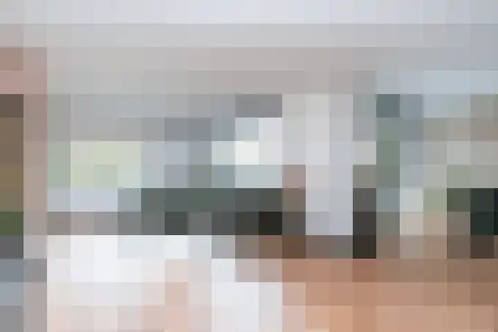 Watersnip 6 Papendrecht thumbnail 4