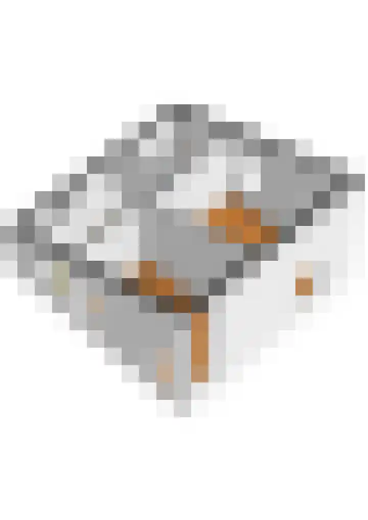 Watersnip 6 Papendrecht thumbnail 40