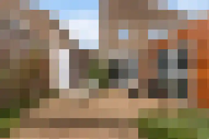 Watersnip 6 Papendrecht thumbnail 5