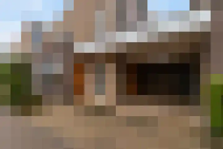 Watersnip 6 Papendrecht thumbnail 7