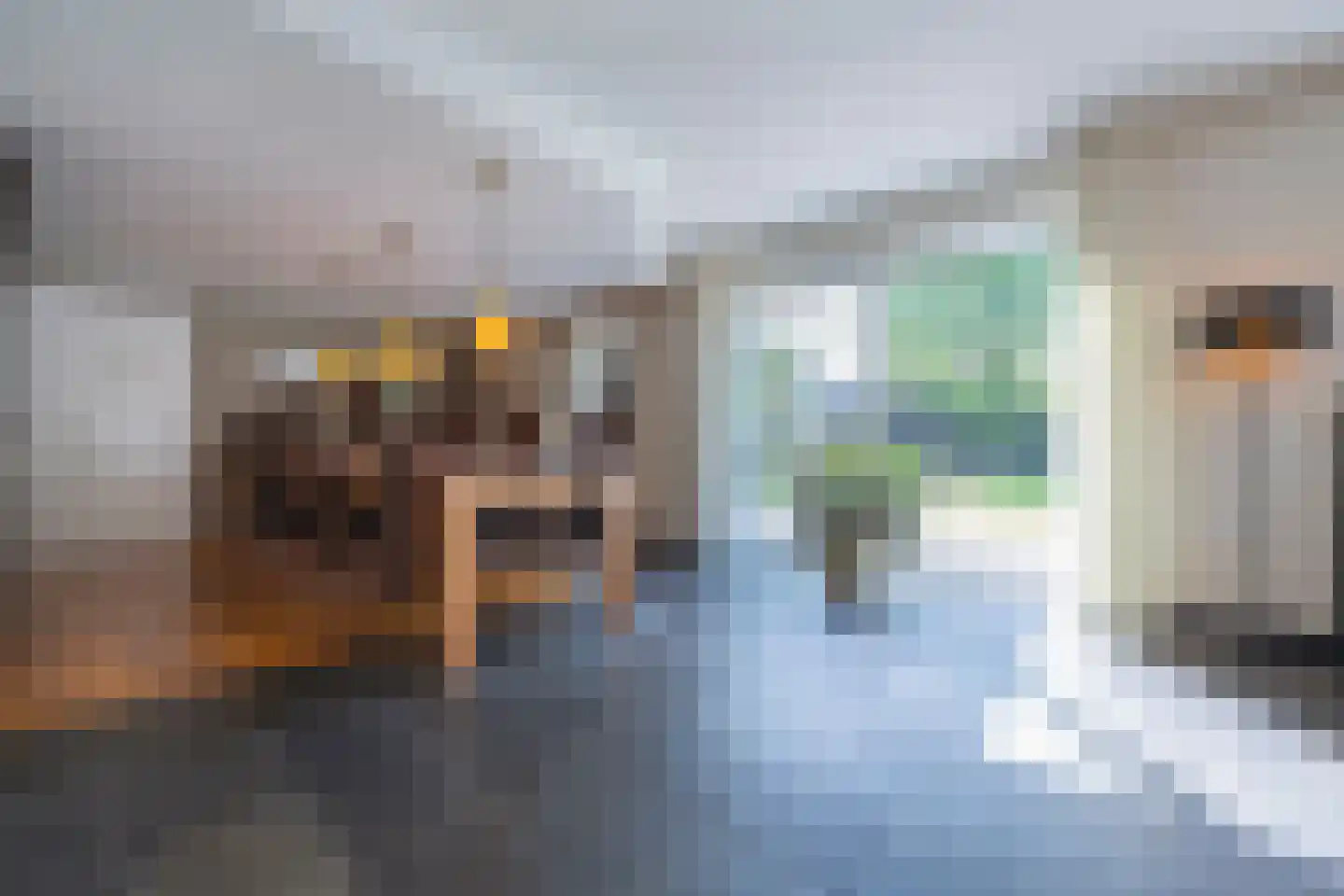 Watersnip 6 Waspik thumbnail 10