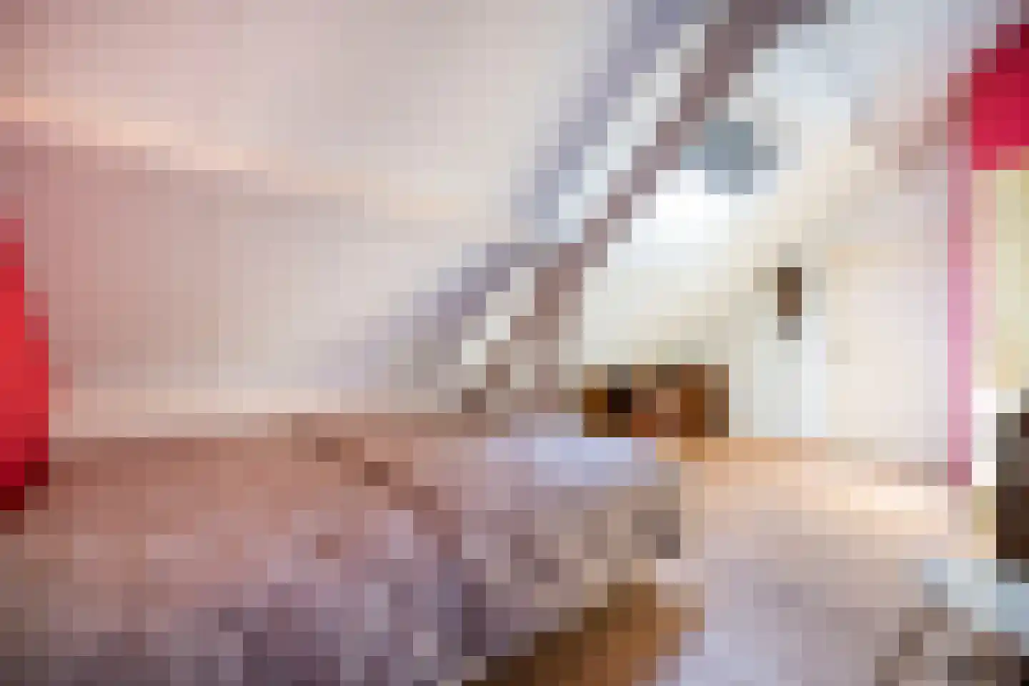 Watersnip 6 Waspik thumbnail 32