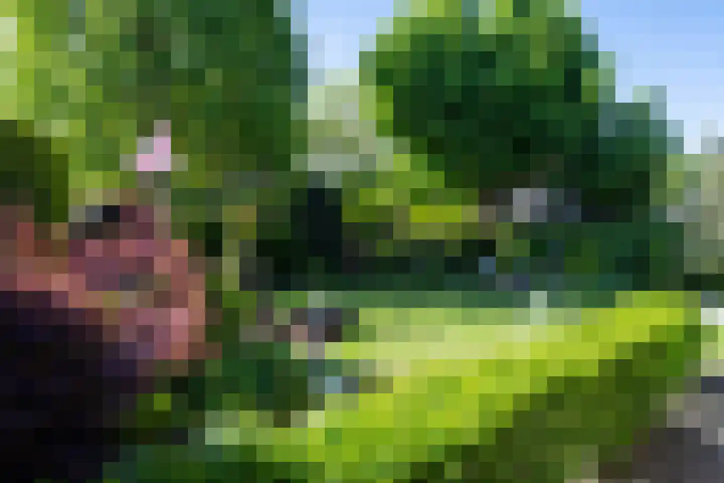 Watersnip 6 Waspik thumbnail 38