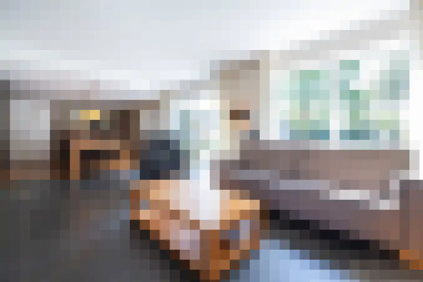 Watersnip 6 Waspik thumbnail 9