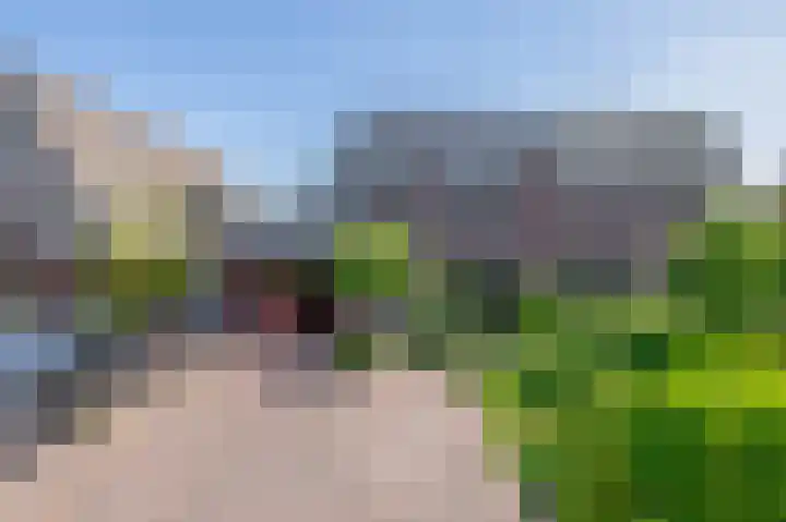 Watersnip 61 Bodegraven