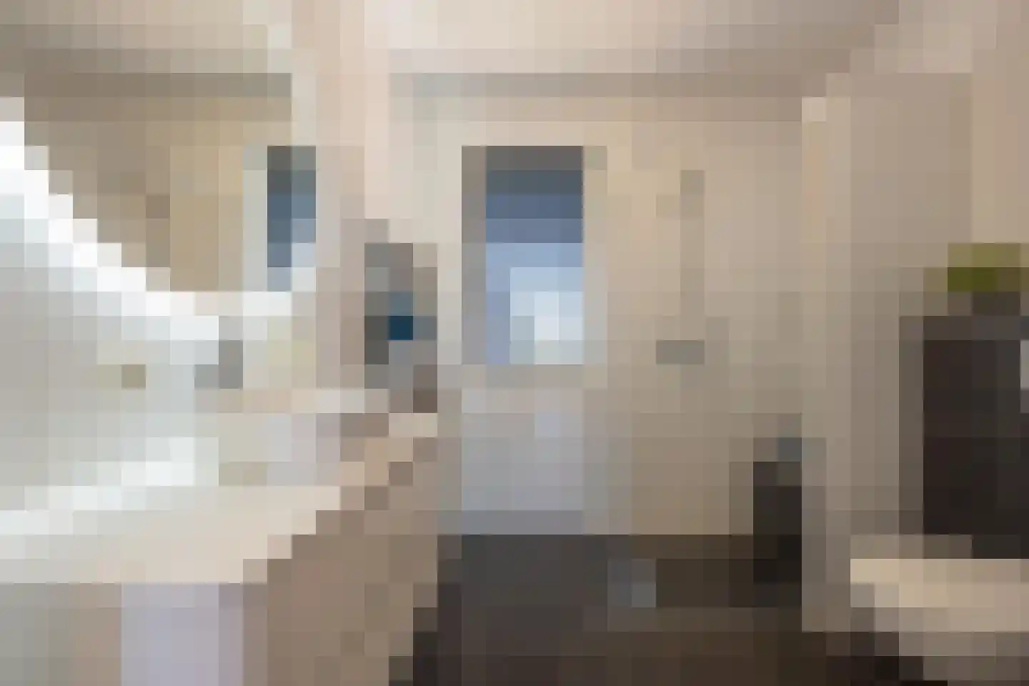 Watersnip 64 Maurik thumbnail 54