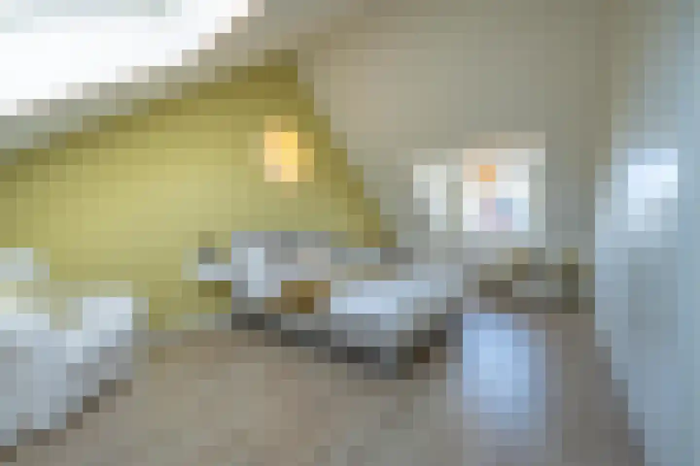 Watersnip 64 Maurik thumbnail 62