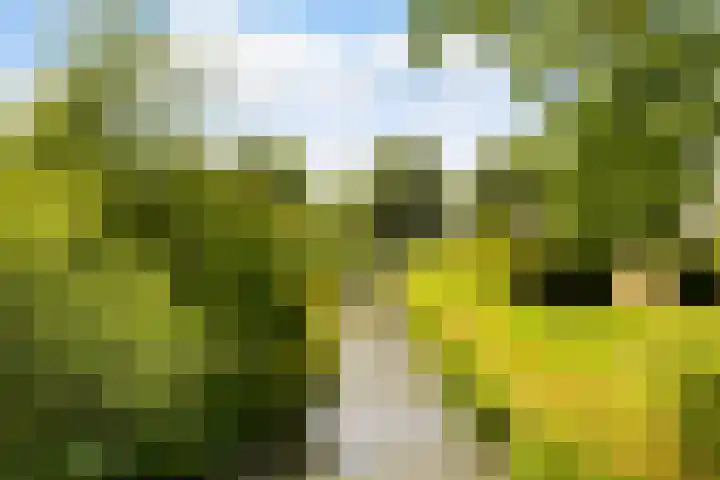 Watersnip 7 IJsselstein thumbnail 44