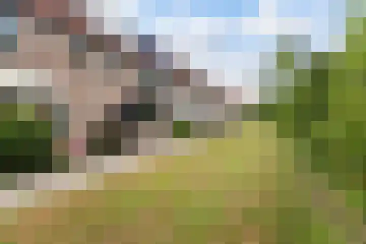 Watersnip 7 IJsselstein thumbnail 6