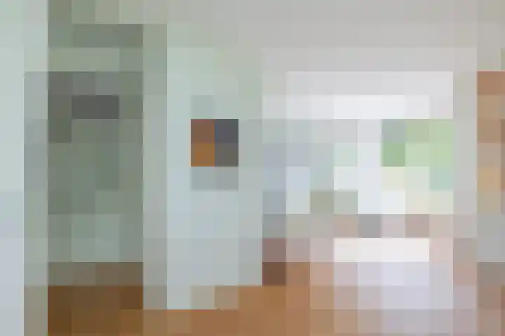 Watersnip 7 Ilpendam thumbnail 11