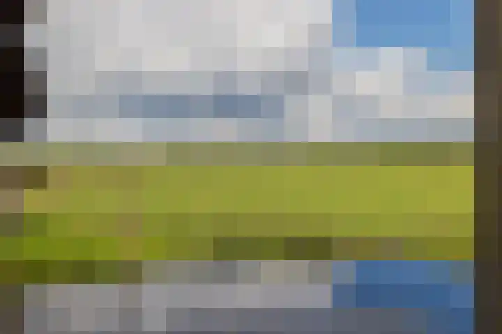 Watersnip 7 Ilpendam thumbnail 38
