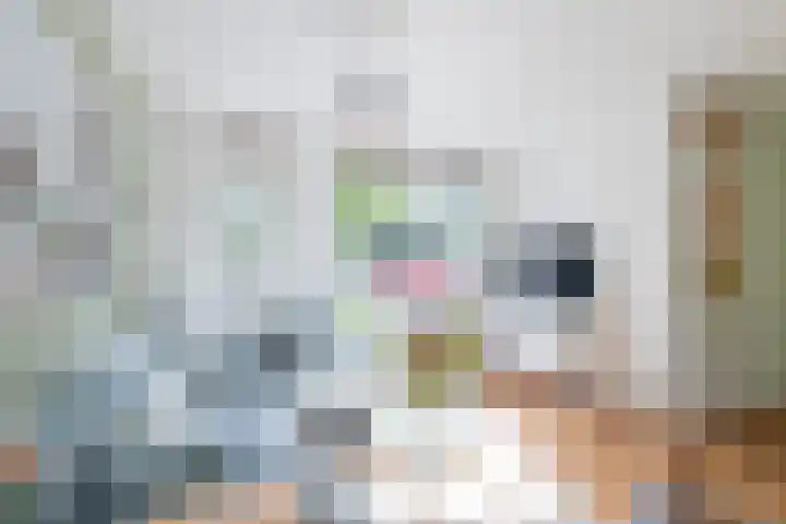 Watersnip 7 Ilpendam thumbnail 9
