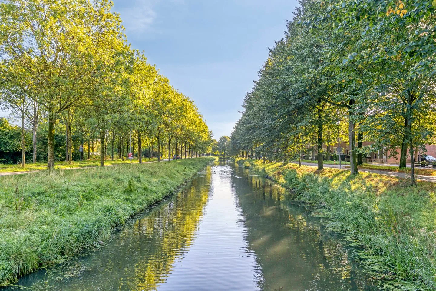 Watersnip 99 Hoorn thumbnail 26