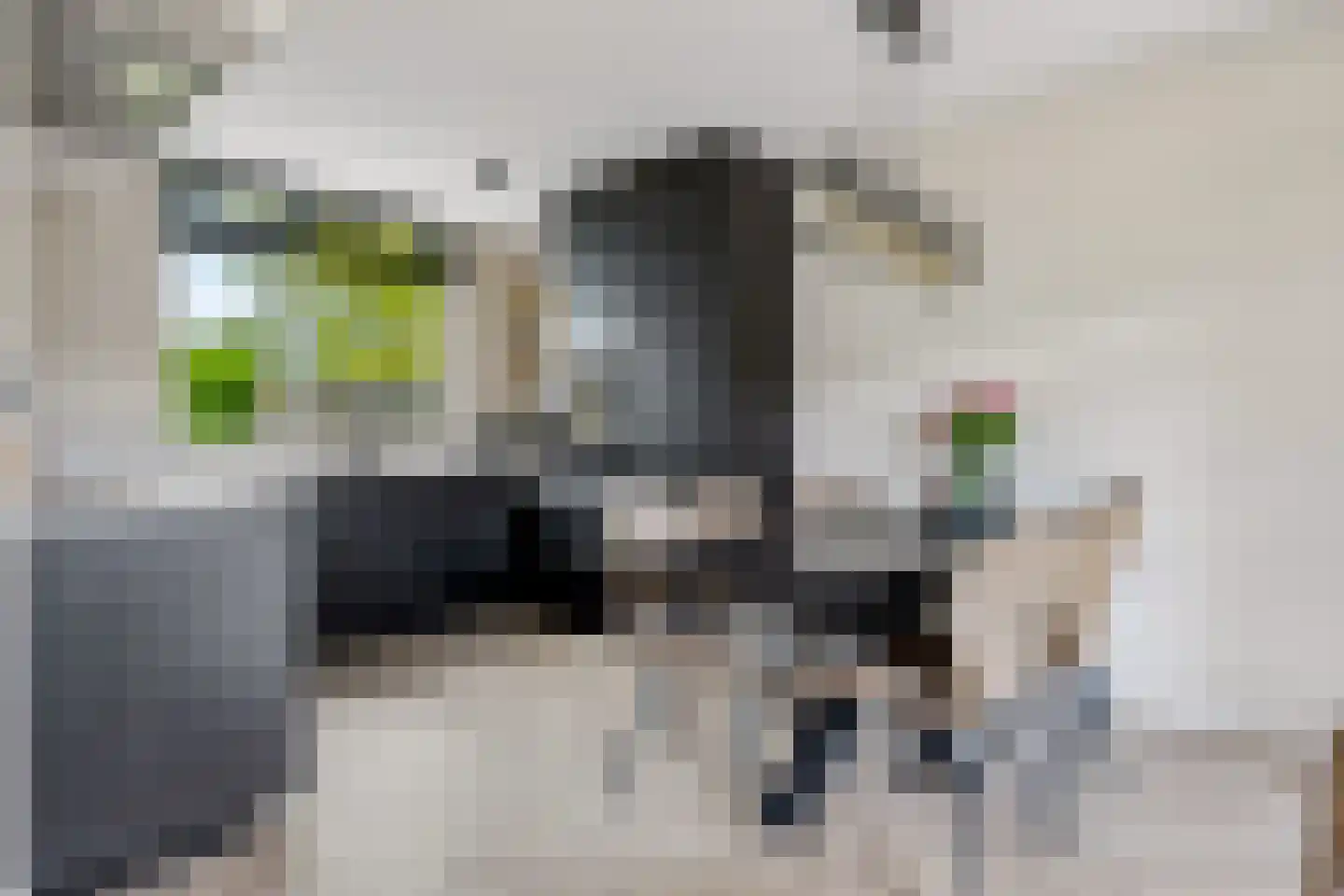 Watersniphof 13 Zwolle thumbnail 13