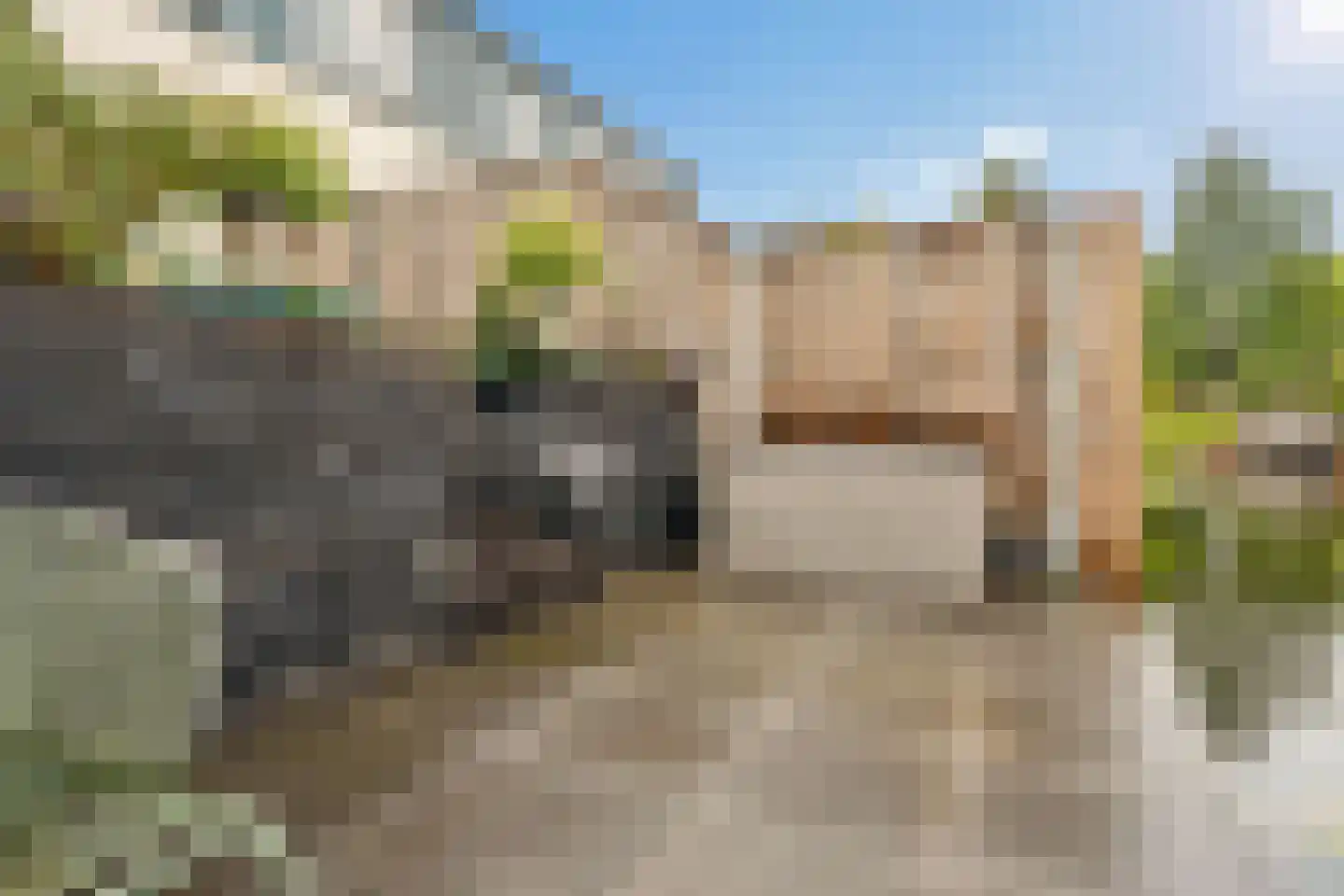 Watersniphof 13 Zwolle thumbnail 31