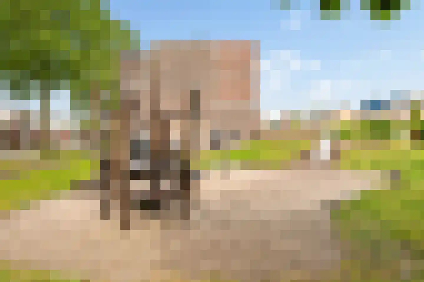 Watersniphof 13 Zwolle thumbnail 41