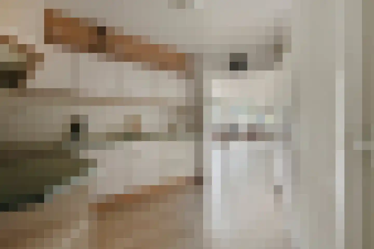 Watersniphof 4 Middelburg thumbnail 14