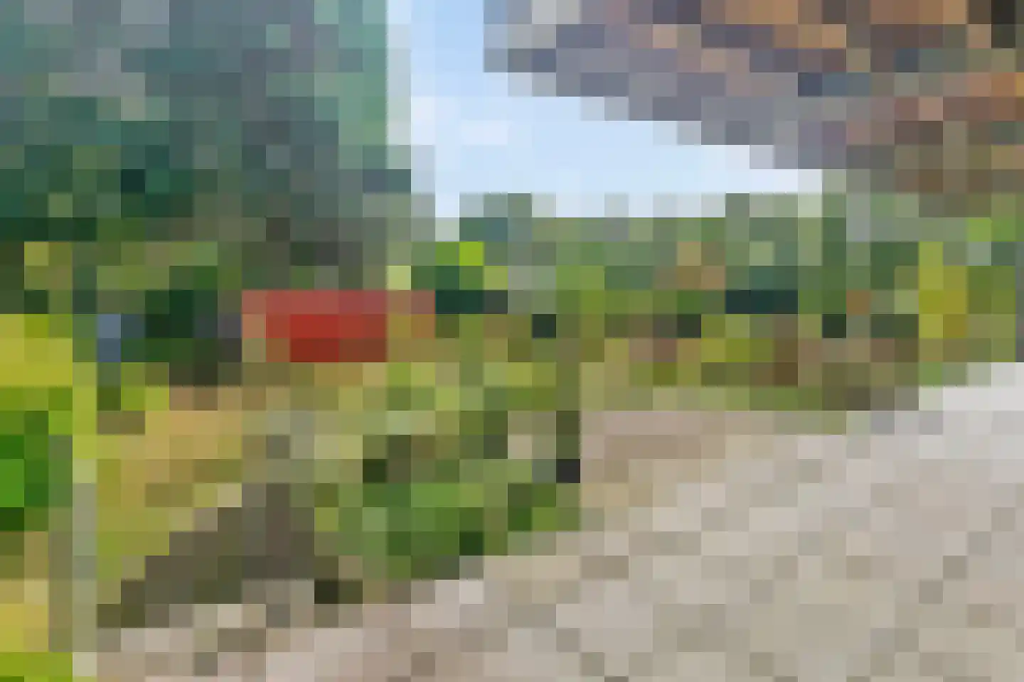 Watersniphof 4 Middelburg thumbnail 21