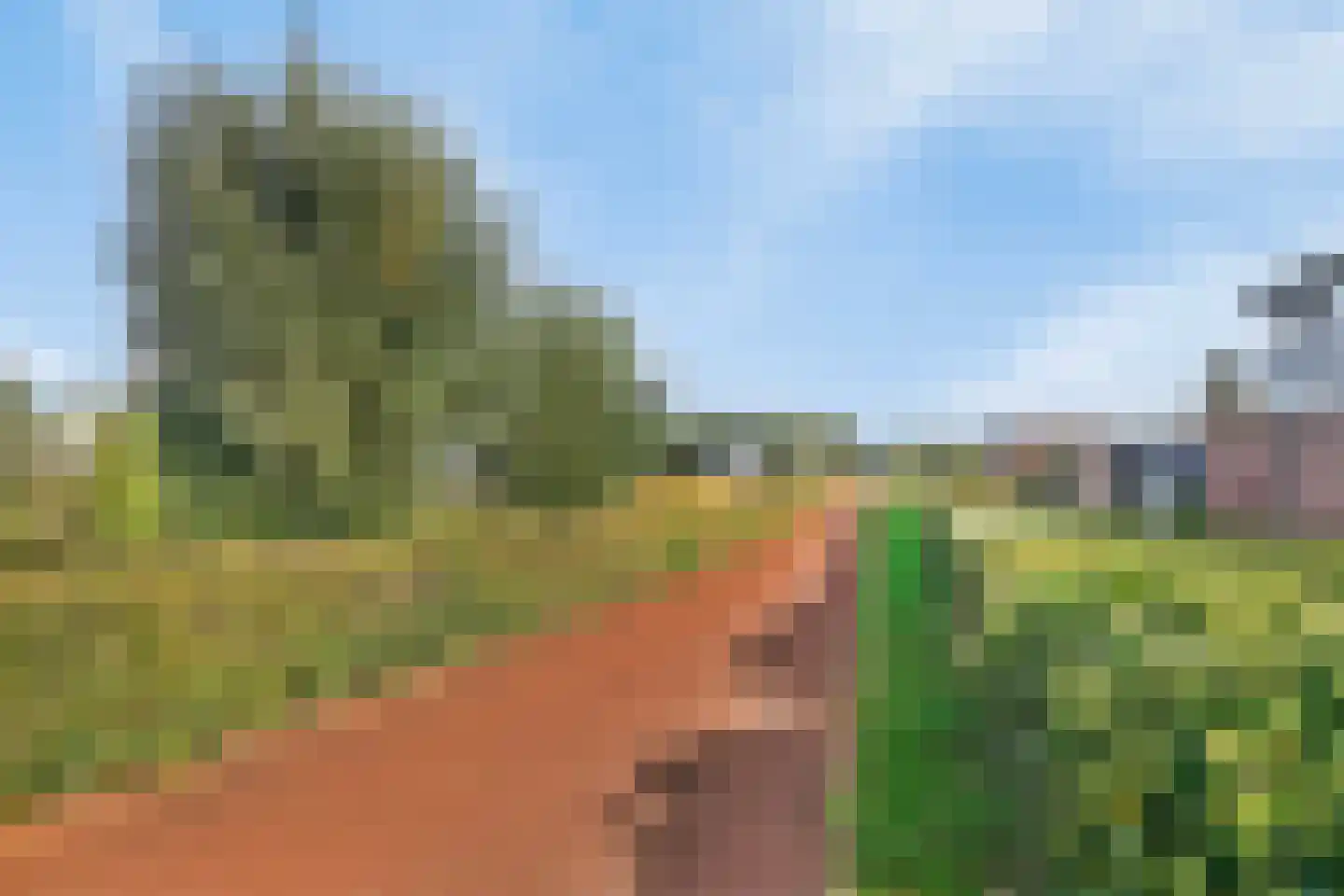 Watersniphof 4 Middelburg thumbnail 28
