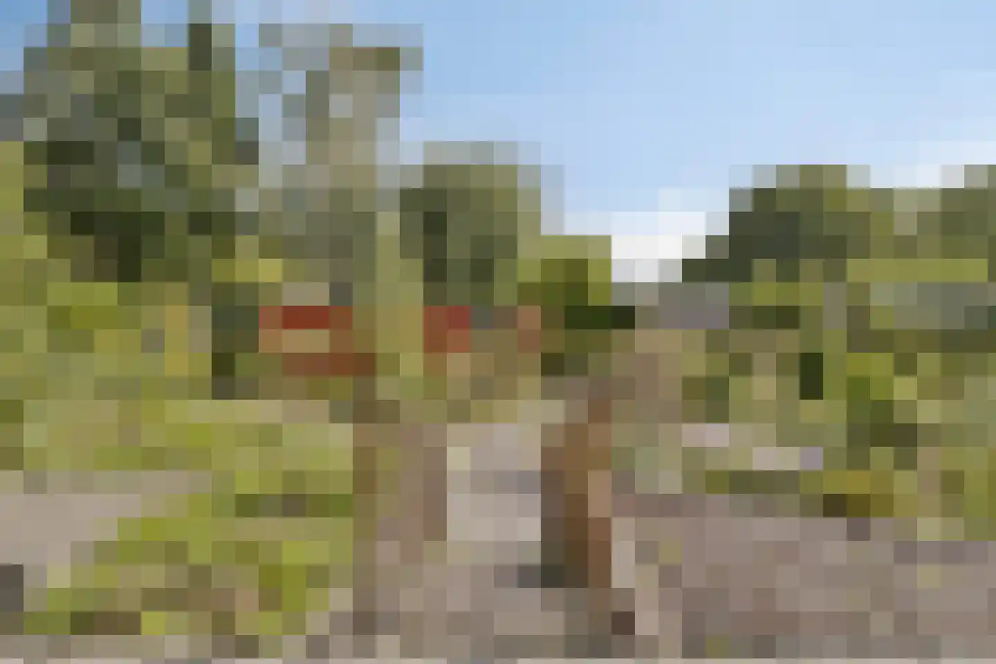 Watersniphof 4 Middelburg thumbnail 28