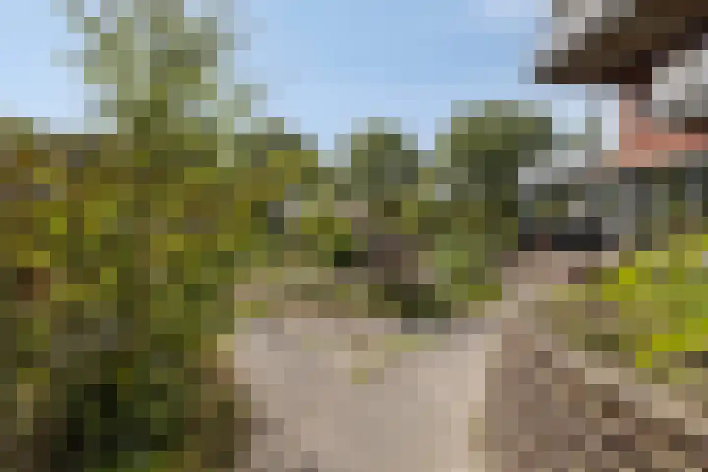 Watersniphof 4 Middelburg thumbnail 29